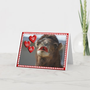 CARTES POUR FÊTES ANNUELLES CAMEL VALENTINE - PORTEFEUILLE - KISS ME!