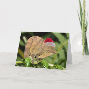 Cartes Pour Fêtes Annuelles Caméléon de Noël
