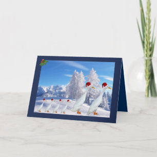 Cartes Pour Fêtes Annuelles Canard de Noël