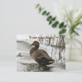 Cartes Pour Fêtes Annuelles Canard gris sur la nuit du lac (Debout devant)