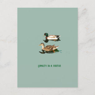 Cartes Pour Fêtes Annuelles Canards colverts