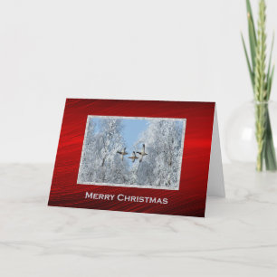 Cartes Pour Fêtes Annuelles Canards colverts photo de neige Noël