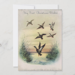 Cartes Pour Fêtes Annuelles Canards De Noël Vintage En Étang