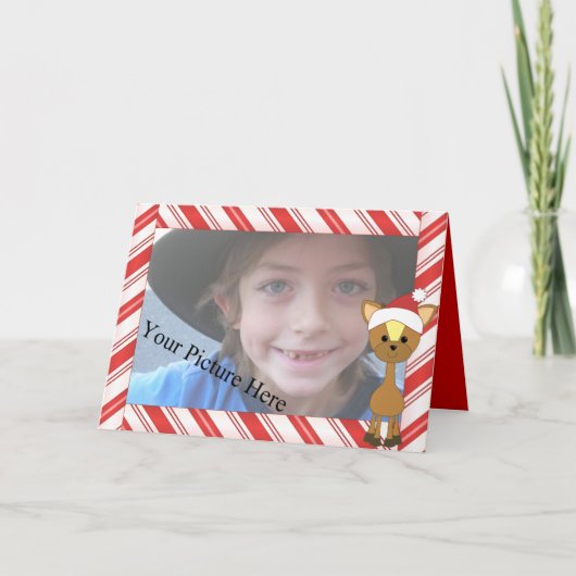Cartes Pour Fêtes Annuelles Candy-Cane Wayne Deer (Devant)