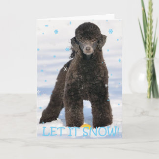 Cartes Pour Fêtes Annuelles Caniche dans la neige