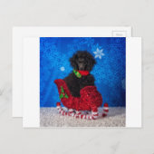 Cartes Pour Fêtes Annuelles Caniche de Noël (Devant / Derrière)