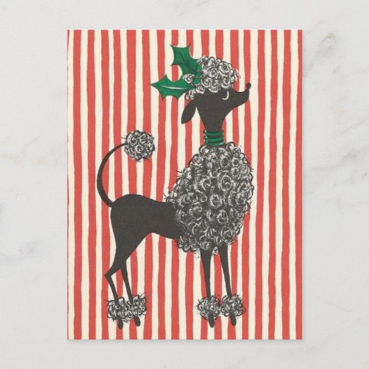 Cartes Pour Fêtes Annuelles Caniche de Noël (Devant)