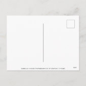 Cartes Pour Fêtes Annuelles Canneberges de Noël festives (Dos)