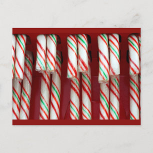 Cartes Pour Fêtes Annuelles Canneberges festives de Noël