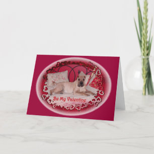 Cartes Pour Fêtes Annuelles Capture Your Heart