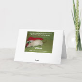 Cartes Pour Fêtes Annuelles card ! (Dos)