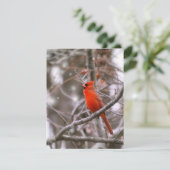 Cartes Pour Fêtes Annuelles Cardinal (Debout devant)