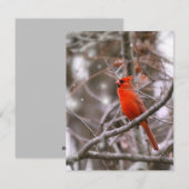 Cartes Pour Fêtes Annuelles Cardinal (Devant / Derrière)