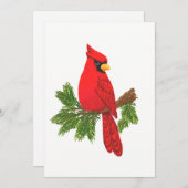 Cartes Pour Fêtes Annuelles Cardinal, blanc, (Devant / Derrière)