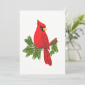 Cartes Pour Fêtes Annuelles Cardinal, blanc, (Debout devant)