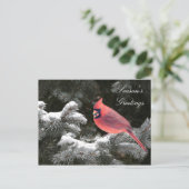 Cartes Pour Fêtes Annuelles Cardinal de Noël (Debout devant)