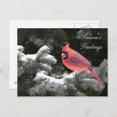 Cartes Pour Fêtes Annuelles Cardinal de Noël (Devant / Derrière)