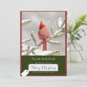 Cartes Pour Fêtes Annuelles Cardinal de Noël de neige (Debout devant)