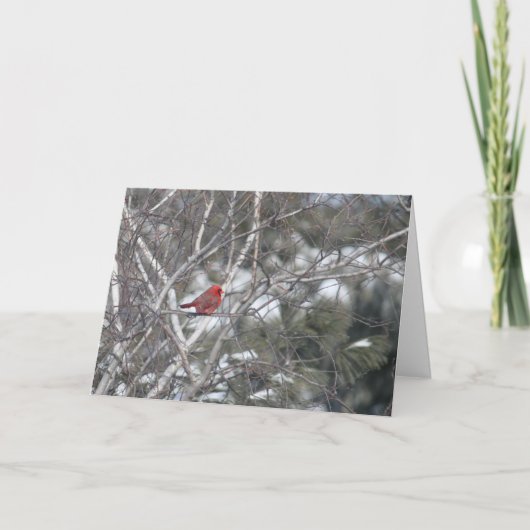 Cartes Pour Fêtes Annuelles Cardinal d'hiver (Devant)