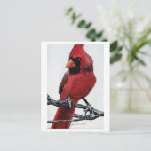 Cartes Pour Fêtes Annuelles Cardinal du Nord (Debout devant)