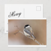 Cartes Pour Fêtes Annuelles Cardinal en hiver (Devant / Derrière)