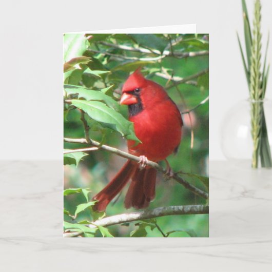 Cartes Pour Fêtes Annuelles Cardinal en Holly Card (Devant)