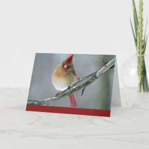 Cartes Pour Fêtes Annuelles Cardinal Holiday Card