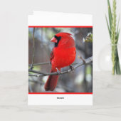 Cartes Pour Fêtes Annuelles Cardinal Joyeux Noël (Dos)