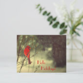 Cartes Pour Fêtes Annuelles Cardinal masculin (Debout devant)