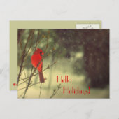 Cartes Pour Fêtes Annuelles Cardinal masculin (Devant / Derrière)