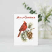 Cartes Pour Fêtes Annuelles Cardinal On Snowy Pine Tree Christmas (Debout devant)