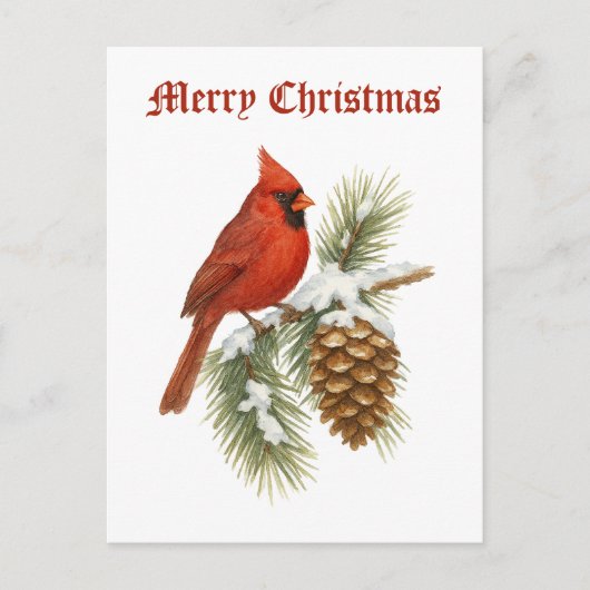 Cartes Pour Fêtes Annuelles Cardinal On Snowy Pine Tree Christmas (Devant)