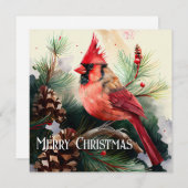 Cartes Pour Fêtes Annuelles Cardinal perché dans un arbre À feuillage persista (Devant / Derrière)