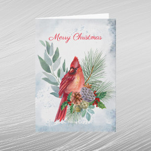 Cartes Pour Fêtes Annuelles Cardinal Rouge Épinette Verdure Noël