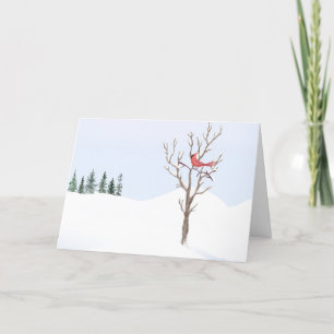 Cartes Pour Fêtes Annuelles Cardinal Rouge Oiseau Paix Sur Terre Famille