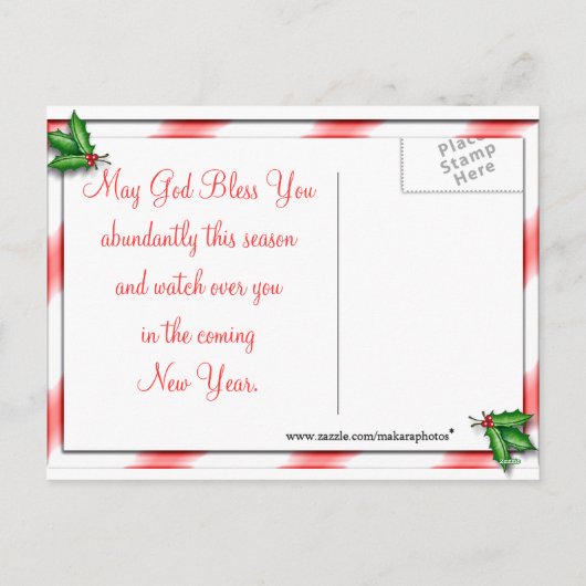 Cartes Pour Fêtes Annuelles CardinalsIcyFeederPostcard-personnaliser (Dos)