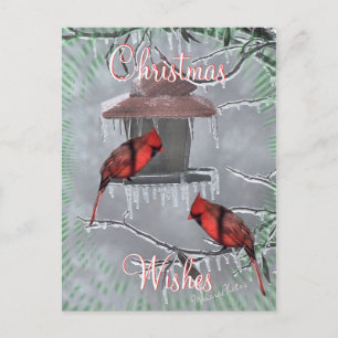 Cartes Pour Fêtes Annuelles CardinalsIcyFeederPostcard-personnaliser