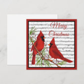 Cartes Pour Fêtes Annuelles Cardinaux de Noël (Devant / Derrière)
