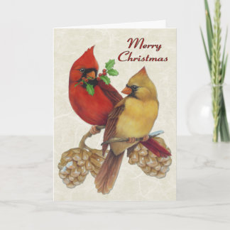 Cartes Pour Fêtes Annuelles Cardinaux d'hiver