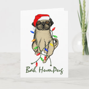 Cartes Pour Fêtes Annuelles Carlin Chien Bah Humpug Funny Noël