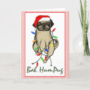 Cartes Pour Fêtes Annuelles Carlin Chien Bah Humpug Funny Noël
