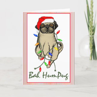 Cartes Pour Fêtes Annuelles Carlin Chien Bah Humpug Funny Noël