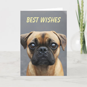 Cartes Pour Fêtes Annuelles Carlin Chien souhaits animaux