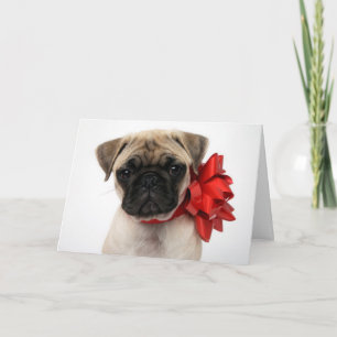 Cartes Pour Fêtes Annuelles Carlin chiot enroulé dans une boîte de Noël