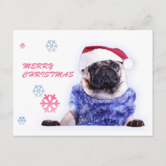 Cartes Pour Fêtes Annuelles Carlin de chien de Noël dans le casquette de père