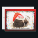 Cartes Pour Fêtes Annuelles Carlin de Noël à Santa Hat avec lumières de Noël<br><div class="desc">Carte de Noël avec une adorable photo d'un chiot carlin qui dort en portant un chapeau santa. Joyeux Noël est écrit sur la bande de son casquette, dans une police manuscrite branchée. Une bordure grinçante avec des lumières de Noël colorées entoure le cadre de cette jolie photo. Personnalisez avec votre...</div>