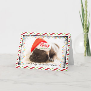 Cartes Pour Fêtes Annuelles Carlin de Noël à Santa Hat avec lumières de Noël