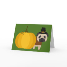 Carlin de thanksgiving de pèlerin