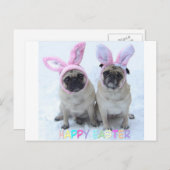 Cartes Pour Fêtes Annuelles Carlin Lapin de Pâques (Devant / Derrière)