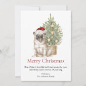 Cartes Pour Fêtes Annuelles Carlin mignon et sapin de Noël chien animal de com (Devant)